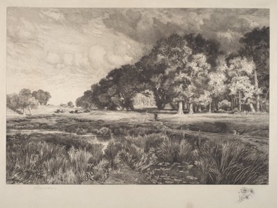 Krajobraz Long Island autorstwa Thomas Moran