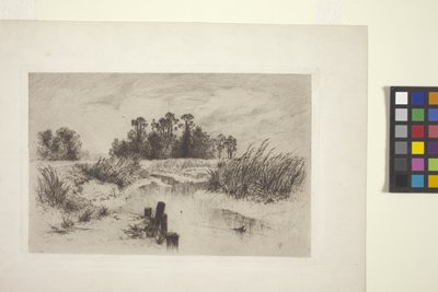 Bagienny pejzaż ze strumieniem (akwaforta na papierze) autorstwa Thomas Moran