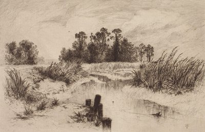 Bagienny krajobraz ze strumieniem autorstwa Thomas Moran