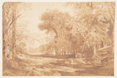 Na Górnym Delaware (po rysunku węglem) autorstwa Thomas Moran
