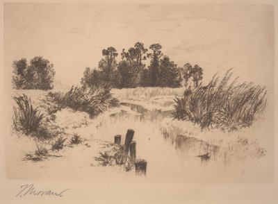 Łąki Passaic (Na Łąkach Newark) autorstwa Thomas Moran
