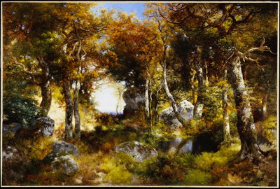 Basen leśny, 1909 autorstwa Thomas Moran