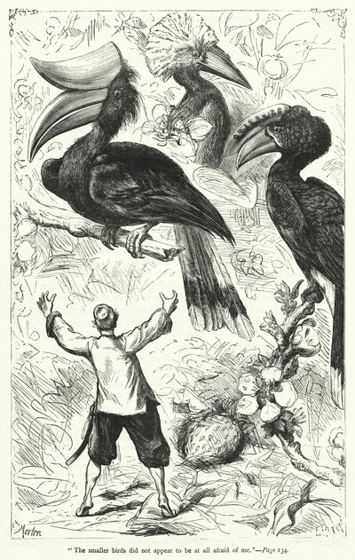 Ilustracja do Podróży Guliwera autorstwa Jonathana Swifta (rycina) autorstwa Thomas Morten