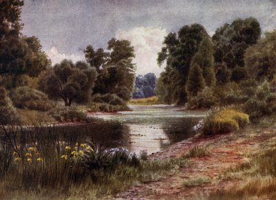 Kew Gardens: Jezioro, patrząc na południe (kolor lito) autorstwa Thomas Mower Martin
