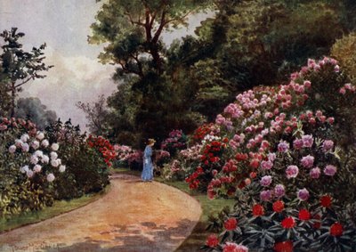 Kew Gardens: The Rhododendron Walk (kolor lito) autorstwa Thomas Mower Martin