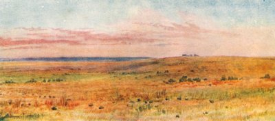  autorstwa Thomas Mower Martin