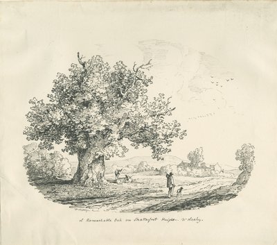 Arley - Wysokość Shatterfort: litografia , 1839 autorstwa Thomas Peploe Wood