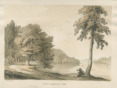 Biddulph Moor - Kamienie Oblubienicy: grawerowanie autorstwa Thomas Peploe Wood