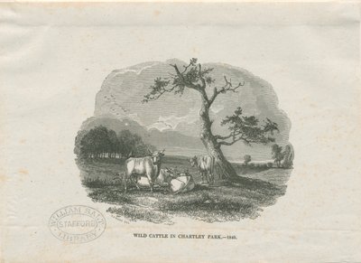 Chartley Hall - Park: drzeworyt grawerowany autorstwa Thomas Peploe Wood