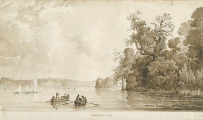 Chillington Park - Basen: rysunek w sepii, bd [1837-1838] autorstwa Thomas Peploe Wood