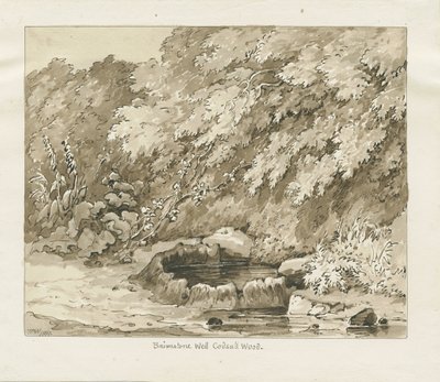 Codsall Wood - Brimstone Well: rysunek w sepii autorstwa Thomas Peploe Wood