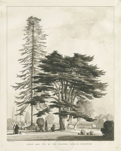 Haughton Rectory: rysunek w sepii autorstwa Thomas Peploe Wood