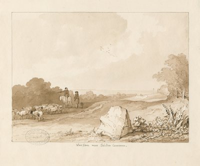 Trysull - „Kamień wojny w pobliżu Seisdon Common”: rysunek ołówkiem i sepią, 1837 autorstwa Thomas Peploe Wood