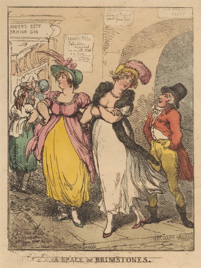 Para motyli z gatunku Brimstone autorstwa Thomas Rowlandson