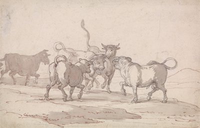 Grupa pięciu byków tuż przed walką autorstwa Thomas Rowlandson