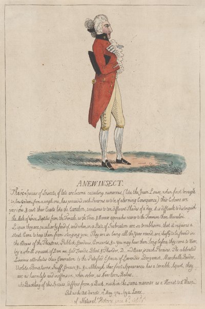 Nowy gatunek owada autorstwa Thomas Rowlandson