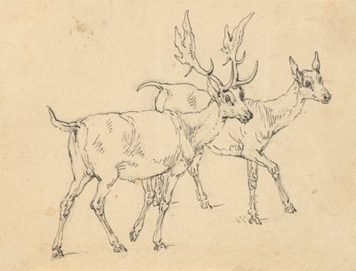 Rysunek albumu autorstwa Thomas Rowlandson