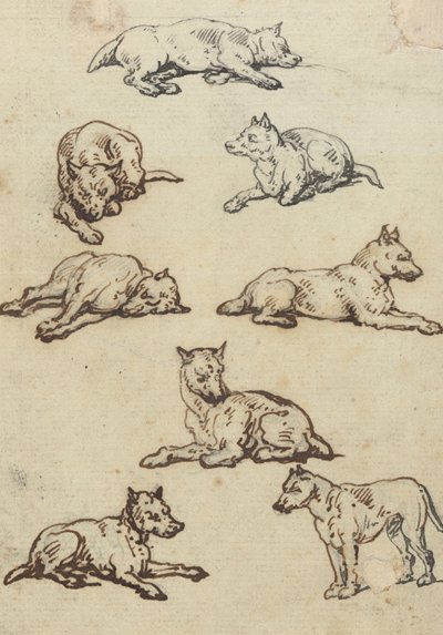 Rysunek z albumu autorstwa Thomas Rowlandson