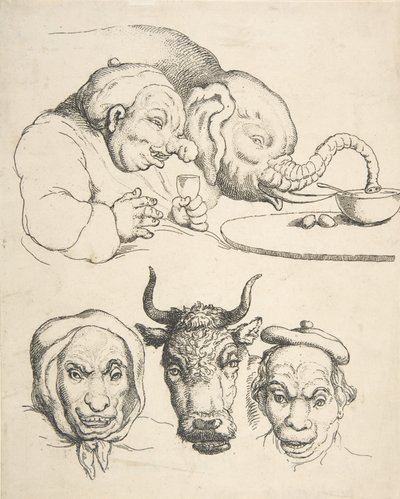 Anatomia porównawcza, 1800-25., 1800-25. autorstwa Thomas Rowlandson