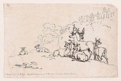 Jeleń z tablicy 3, Kontury postaci, krajobrazy i bydło... na użytek Le..., 1 czerwca 1790. autorstwa Thomas Rowlandson