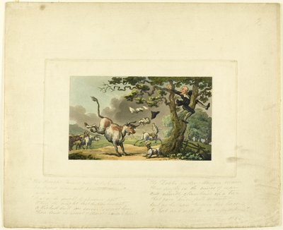 Doctor Syntax ścigany przez byka, z filmu The Tour of Doctor Syntax autorstwa Thomas Rowlandson