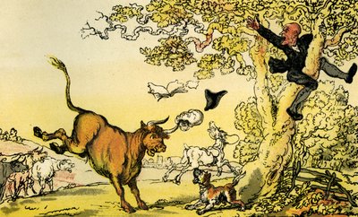 „Dr Syntax ścigany przez byka” autorstwa Thomas Rowlandson