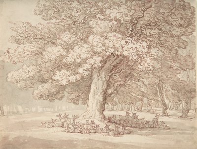 Herd of deer under an oak tree, 1775-1827.    1155927   pl       polish Successfully Translated  Original: The Virgin of the Immaculate Conception Translat: The Virgin of the Immaculate Conception 1219066 pl polish Successfully Translated Original: Portrai autorstwa Thomas Rowlandson