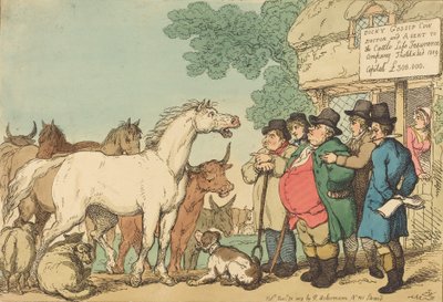 Bydło ubezpieczeniowe, opublikowane w 1809 r. autorstwa Thomas Rowlandson
