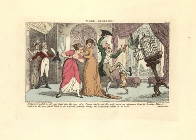 Mężczyzna zaatakowany przez papugę i kota w salonie. autorstwa Thomas Rowlandson