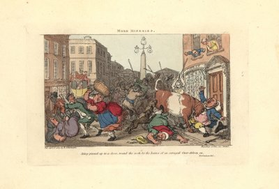 Mężczyzna przyszpilony do drzwi rogami rozwścieczonego wołu. autorstwa Thomas Rowlandson