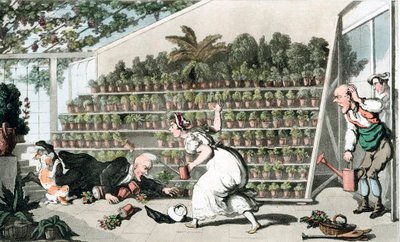 Nieszczęście w Sali Tulipanów, ok. 1816 r. autorstwa Thomas Rowlandson