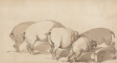 Świnie przy korycie autorstwa Thomas Rowlandson