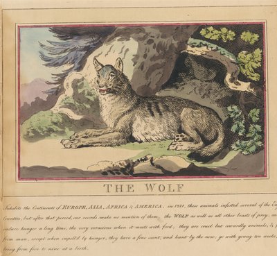 Zestaw ośmiu ilustracji wraz ze stroną tytułową. „Zwierzęta zagraniczne i krajowe”. 5. Wilk autorstwa Thomas Rowlandson