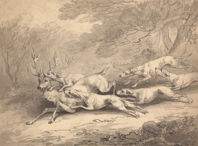 Jeleń powalony przez stado psów autorstwa Thomas Rowlandson