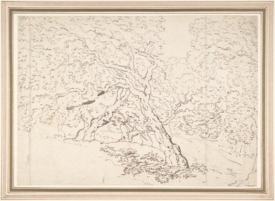 Badania nad drzewami autorstwa Thomas Rowlandson
