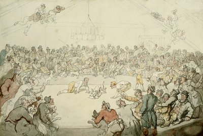 Westminster Pitt, 1798 autorstwa Thomas Rowlandson