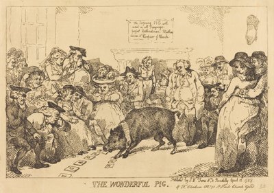 Cudowna świnia autorstwa Thomas Rowlandson