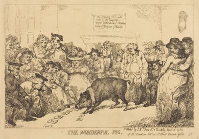 Cudowna świnka autorstwa Thomas Rowlandson