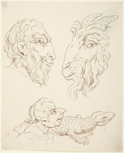 Dwie karykatury: człowiek i koza, człowiek i jaszczurka autorstwa Thomas Rowlandson