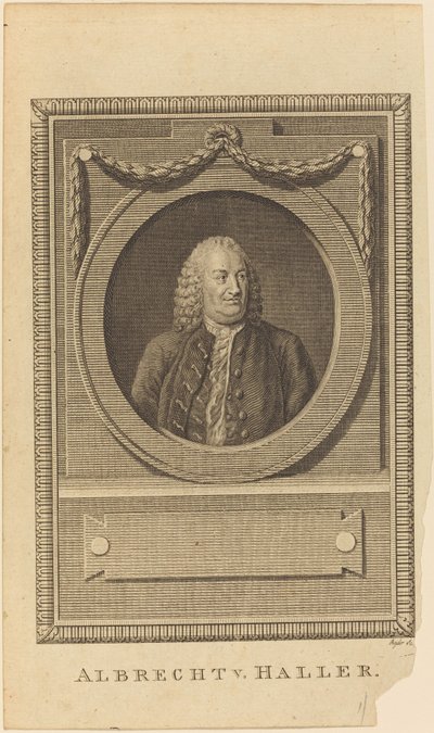 Albrecht V. Haller autorstwa Thomas Ryder
