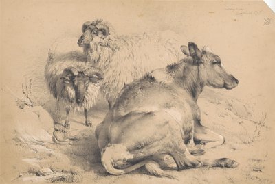 Krowa i dwa barany autorstwa Thomas Sidney Cooper