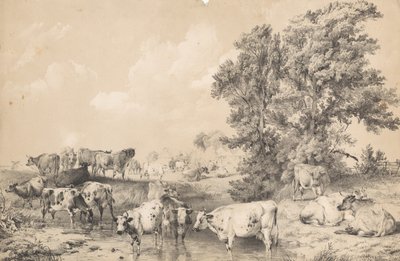 Stado bydła na brzegu rzeki autorstwa Thomas Sidney Cooper