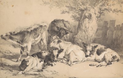Bydło autorstwa Thomas Sidney Cooper