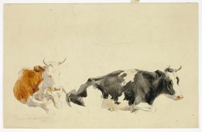 Dwie leżące krowy (recto); Szkic stojącej krowy (verso) autorstwa Thomas Sidney Cooper