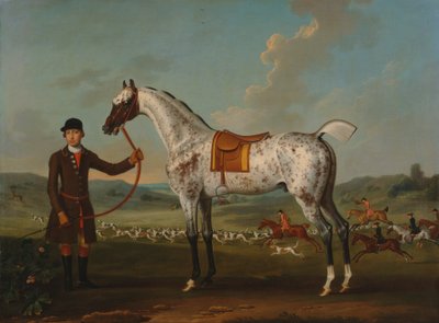 Scipio, cętkowany myśliwy, własność pułkownika Roche