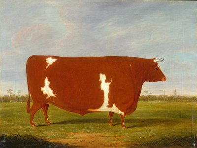 Byk-nagroda stojący w krajobrazie autorstwa Thomas Weaver