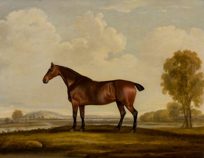 Georgiana: koń, ok. 1819 (olej na płótnie) autorstwa Thomas Weaver