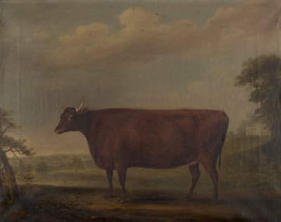 Czerwone jałówki devon w pejzażu, ok. 1812 (olej na płótnie) autorstwa Thomas Weaver