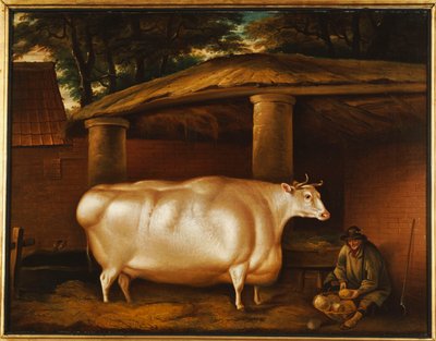 Biała jałówka, która podróżowała, z mężczyzną krojącym rzepę na stajni, 1811 autorstwa Thomas Weaver