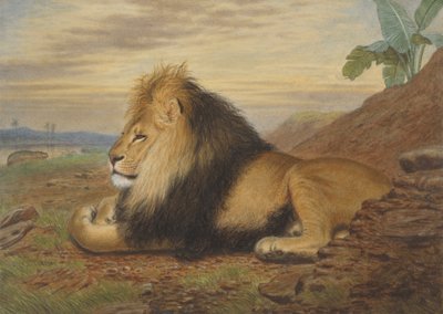 Lew autorstwa Thomas William Wood